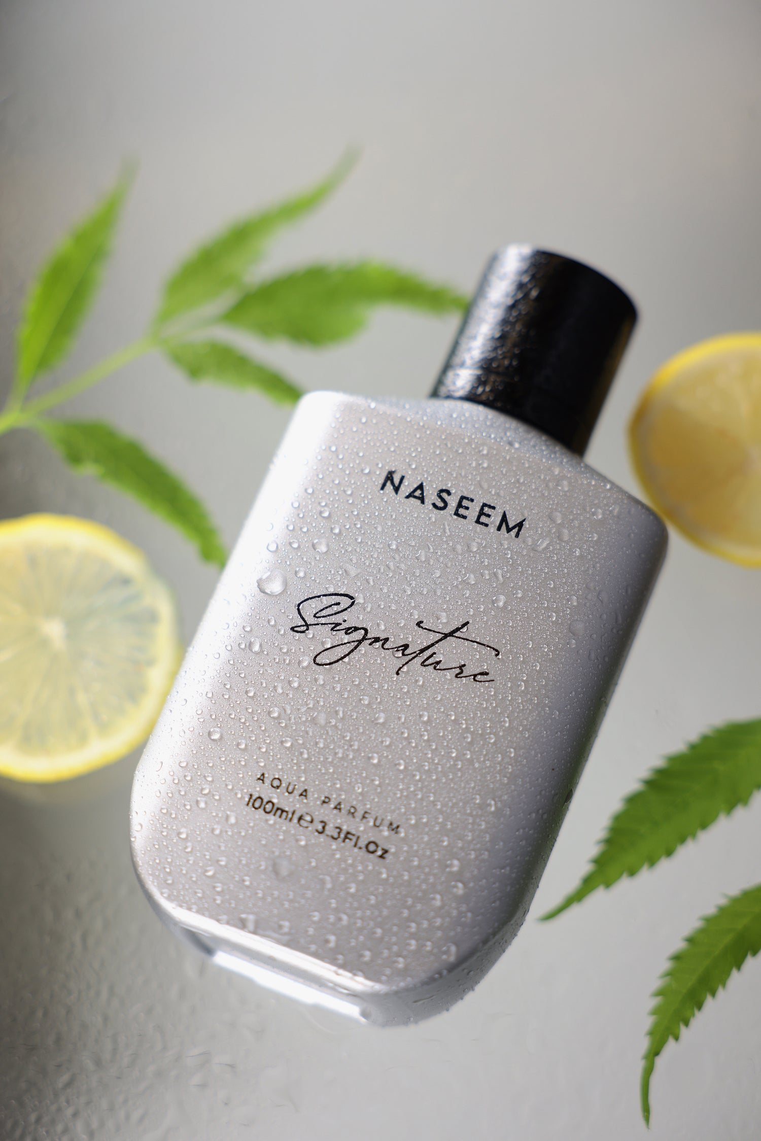 SIGNATURE SILVER