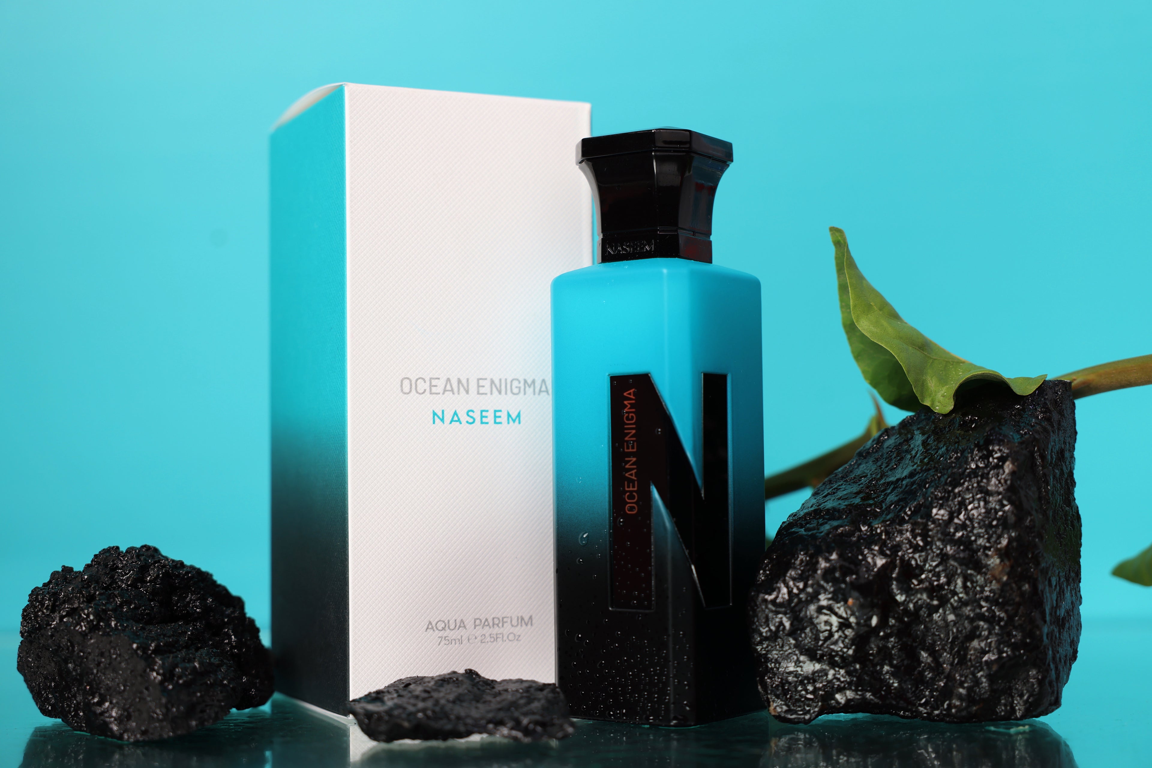 OCEAN ENIGMA